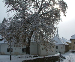 Beköszöntött a tél