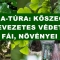 KŐSZEGI NA-TÚRA